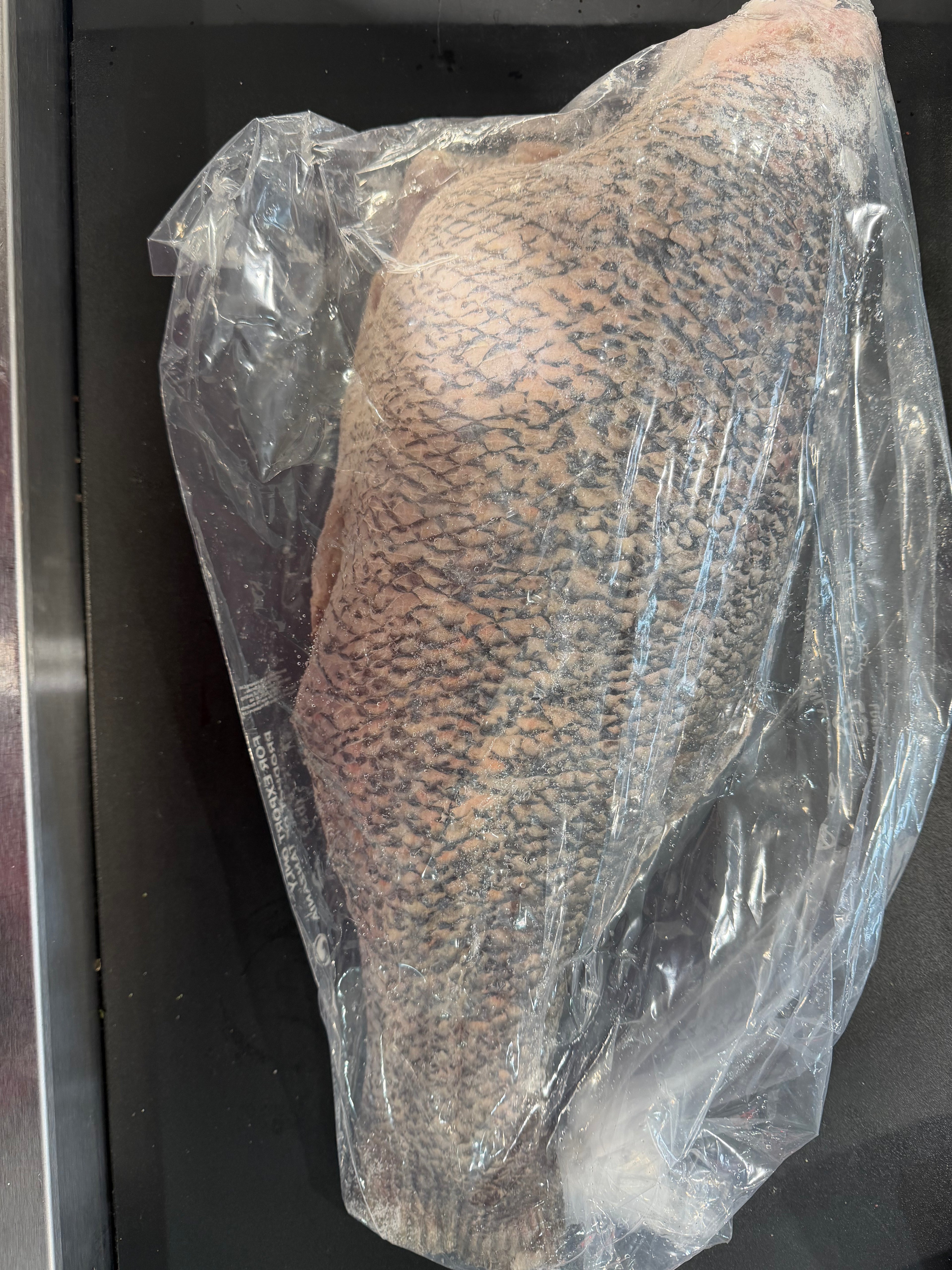 Poisson Capitaine